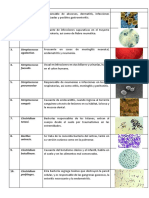 Ejemplos de Bacterias Gram Positivas