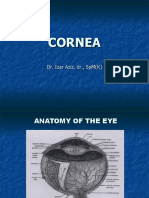 Corneal Ulcer DR - IZ