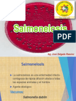 Salmonelosis PDF