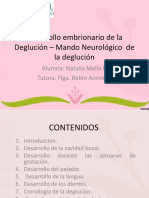 Desarrollo Embrionario de La Deglucion Mando Neurologico