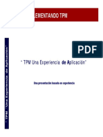 1-Modelo Implementacion 1 TPM