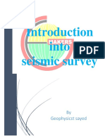 Introduction Into Seismic Survey