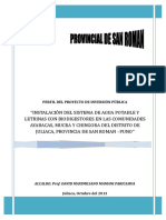 Proyecto de Inversion Publica Trabajo Final