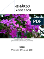 Teteo - O Assessor 