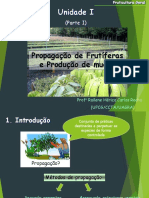 Propagação de Fruteiras PDF