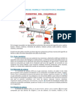 Componentes Del Cigarro