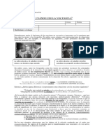 8c2ba Oraciones Pasivas Lenguaje PDF