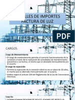 Detalles de Importes Recibo de Luz