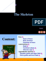 The Skeleton