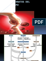 Errores Innatos Del Metabolismo PDF