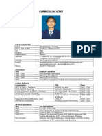 Curriculum Vitae Aban 2017