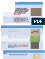 Tipos de Cilindros