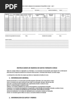 Censo - Formato Borrador