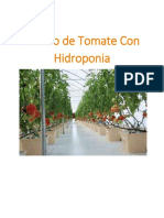 Curso Tomate Con Hidro..