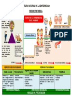 Tifoidea Esquema