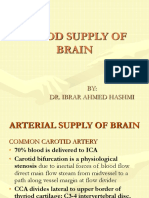 Blood Supply of Brain