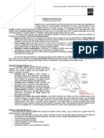 NEUROANATOMIA 17 - Formação Reticular - MED RESUMOS 2012 PDF