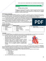 06 Sistema Circulatório