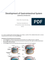 Development of Gastrointestinal System