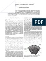 Grapevine Structure and Function