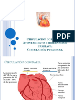 Sistema Cardiaco III