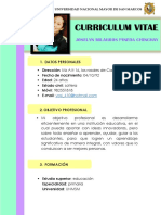 Curriculum Vitae