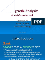 Phylogenetic Analysis