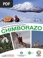 Chimborazo Espanol Baja