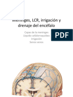 Meninges, LCR, Irrigación y Drenaje