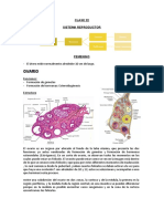 Clase 22 Histo PDF