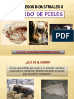 Clase 1 Cuero PDF