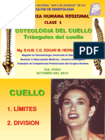 Triangulos Del Cuello PDF