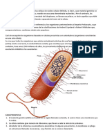 Célula Procariota y EUCARIOTA