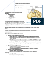Articulaciones Intrínsecas Del Pie