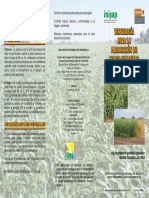 Tecnologia para La Produccion de Sorgo Forrajero PDF