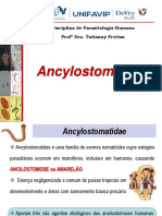 Ancylostomatidae