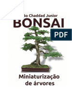 Bonsai-Miniaturizacao de Arvores