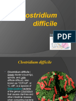 Clostridium Difficile: Dr.T.V.Rao M