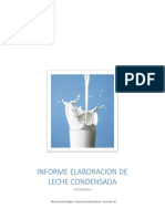 Informe Elaboracion de Leche Condensada