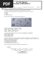 Prueba 6° Básico - 5