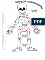 Las Articulaciones