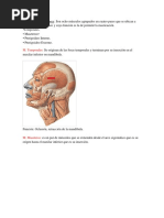 Músculos Masticadores