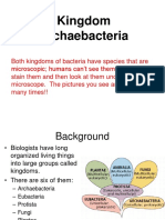 Bacteria PPT 08