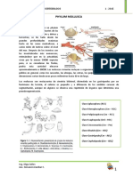 Paleontologia de Invertebrados 1 - 2015