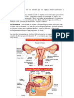 Aparatos Del Cuerpo Humano