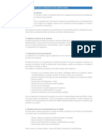 Pautas para Realizacion de Auditoria Interna