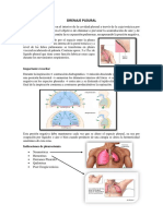 Drenaje Pleural