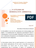 Biocatalisis de Remediación Ambiental