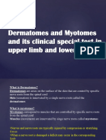 Dermatomes and Myotomes and Its Clinical Special Test in Upper Limb and Lower Limb