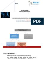 Praxias Correlato Neuroanatomico Patologias